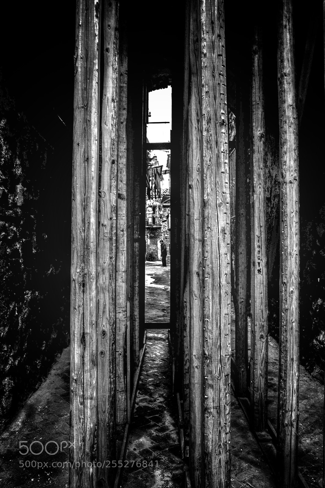 Canon EOS 1000D (EOS Digital Rebel XS / EOS Kiss F) sample photo. Stilts and humans photography