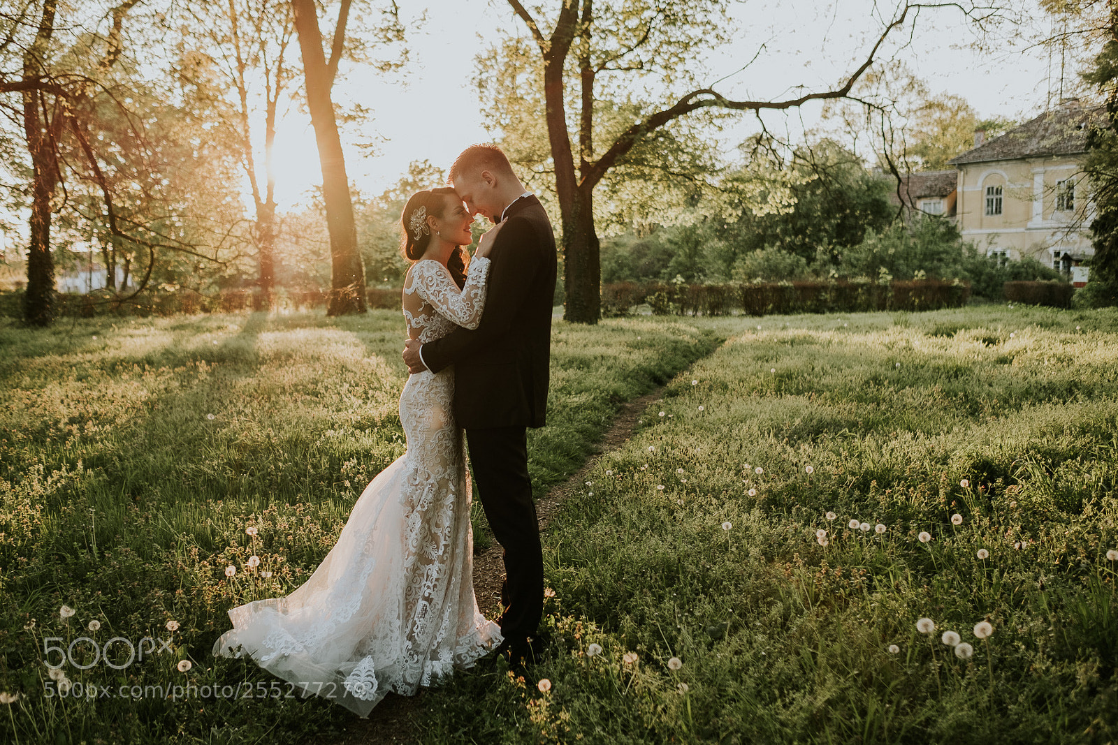 Fujifilm X-T2 sample photo. Untitled photography