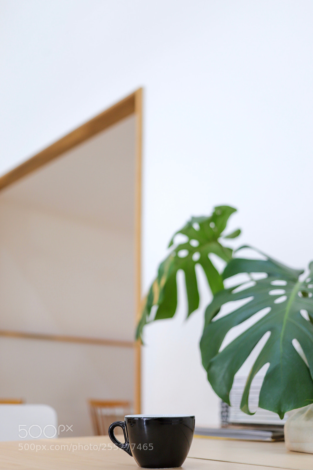 Canon EOS 6D Mark II sample photo. Cup of coffee and photography