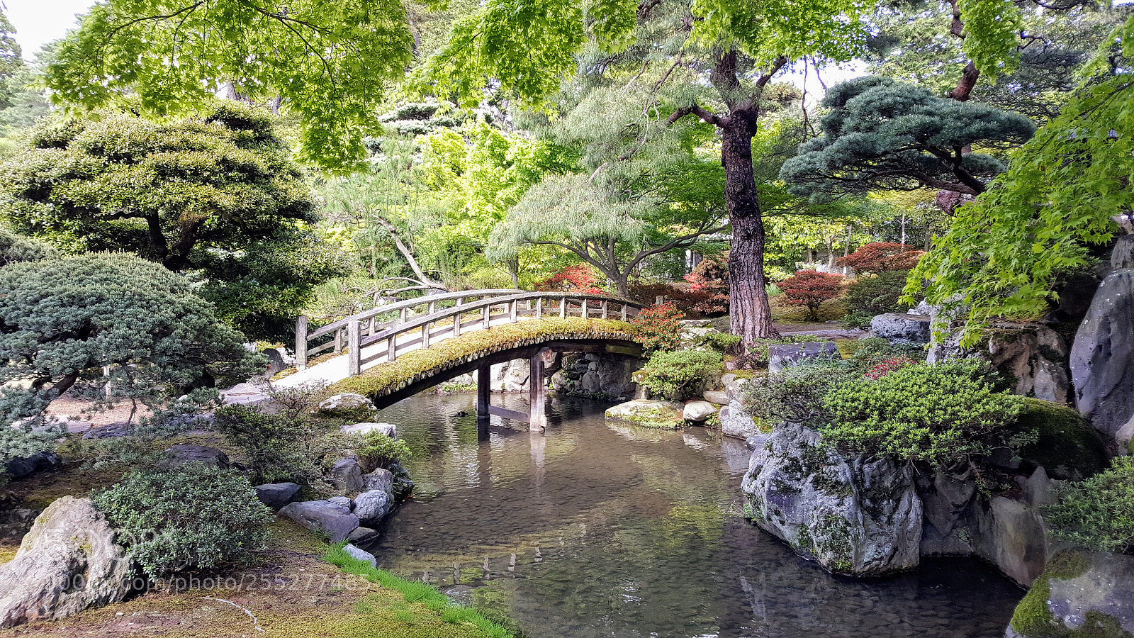 Samsung Galaxy S6 sample photo. Japanese gardens photography