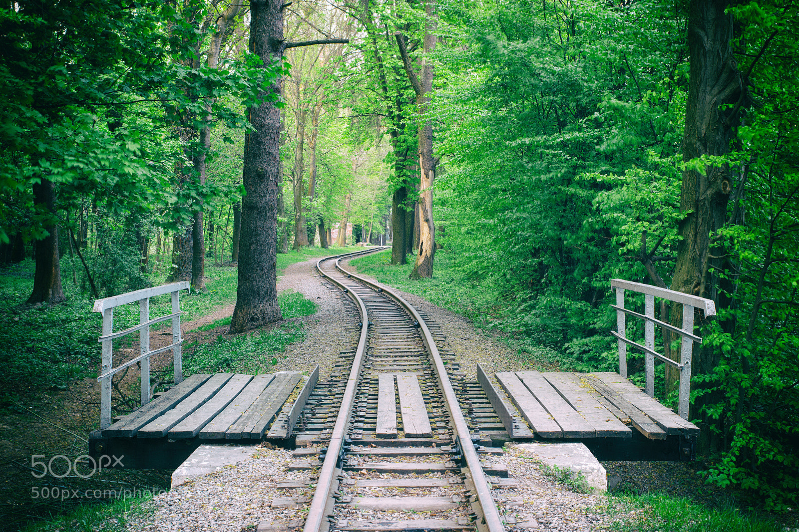 Canon EOS 100D (EOS Rebel SL1 / EOS Kiss X7) sample photo. Railway in the city photography