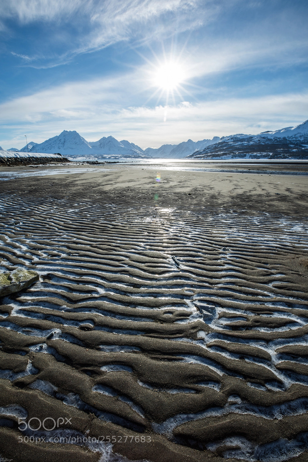 Canon EOS 5D Mark IV sample photo. Frozen beach photography