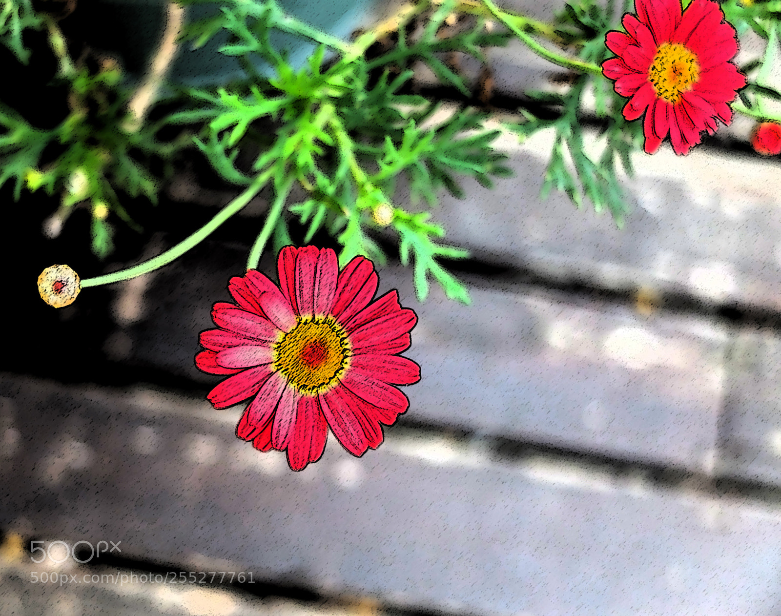Fujifilm X20 sample photo. Flowers photography