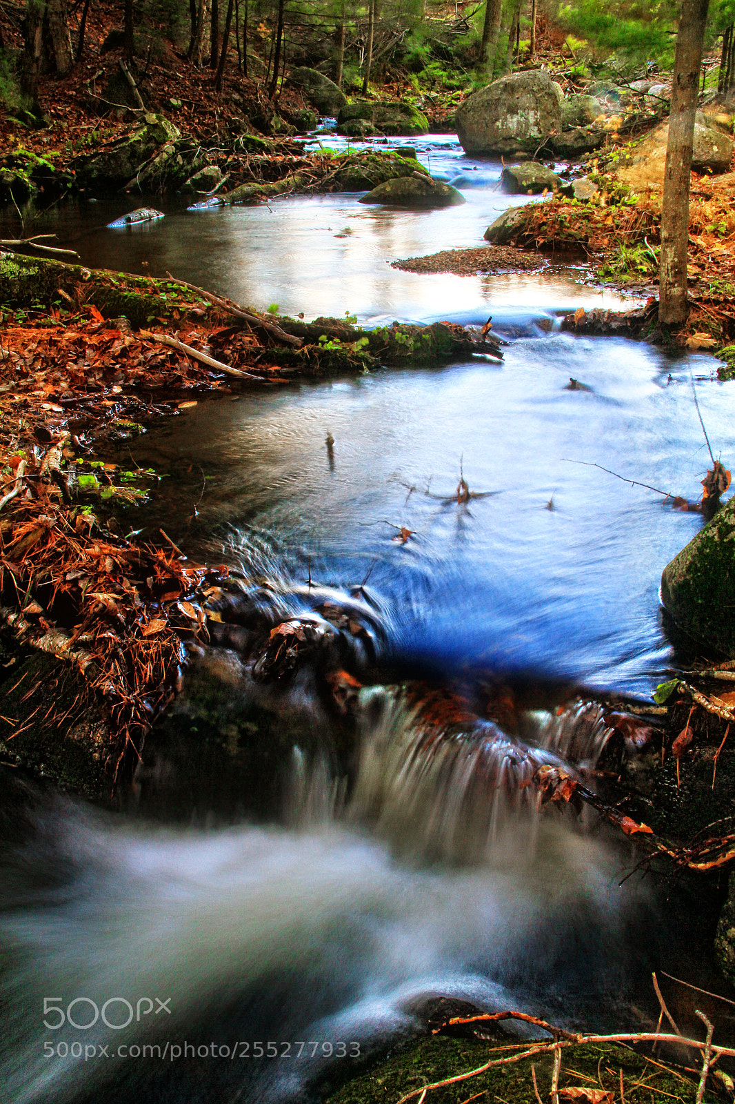 Canon EOS 7D sample photo. Beside the stream photography