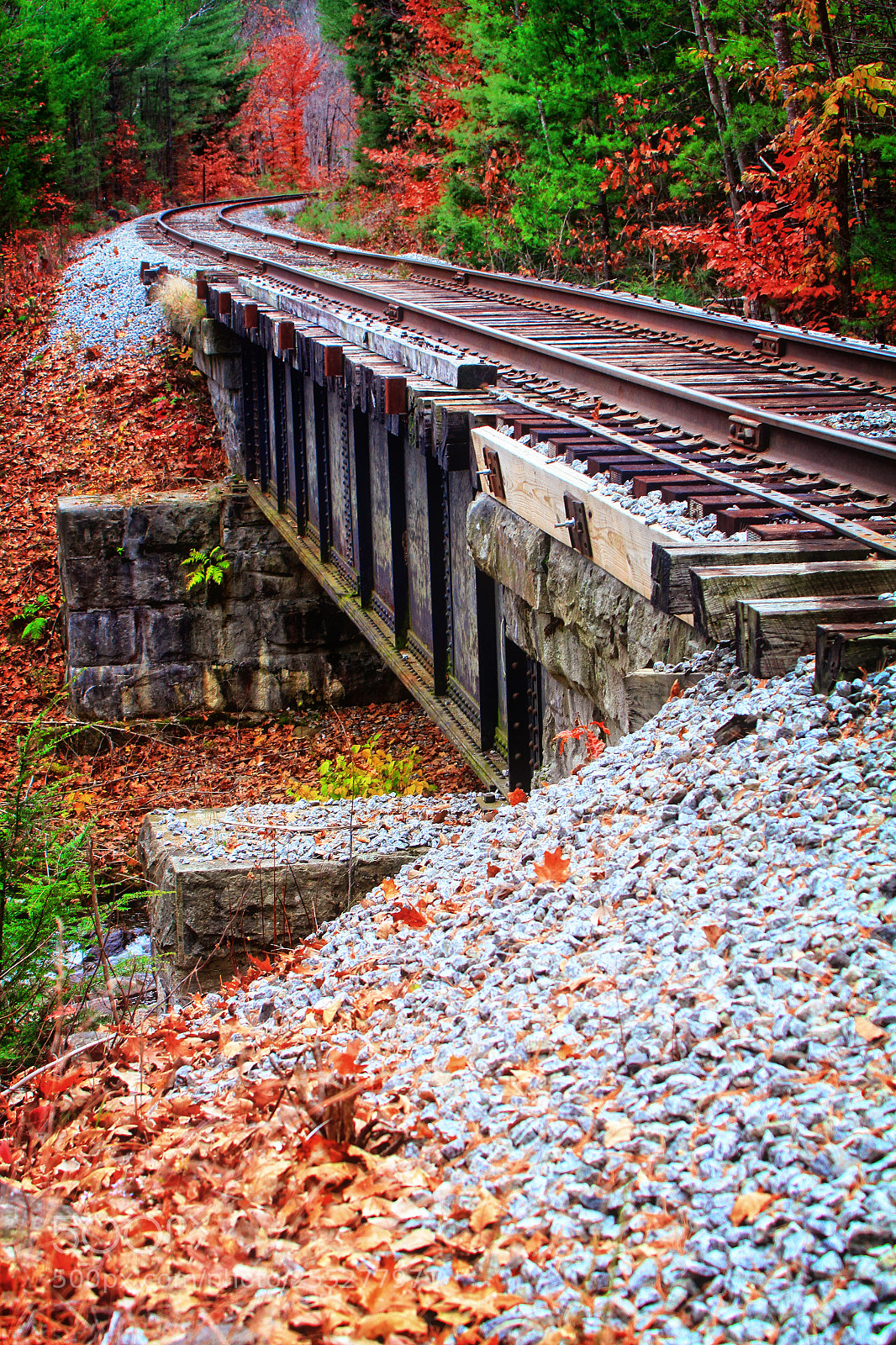 Canon EOS 7D sample photo. Fall tracks photography