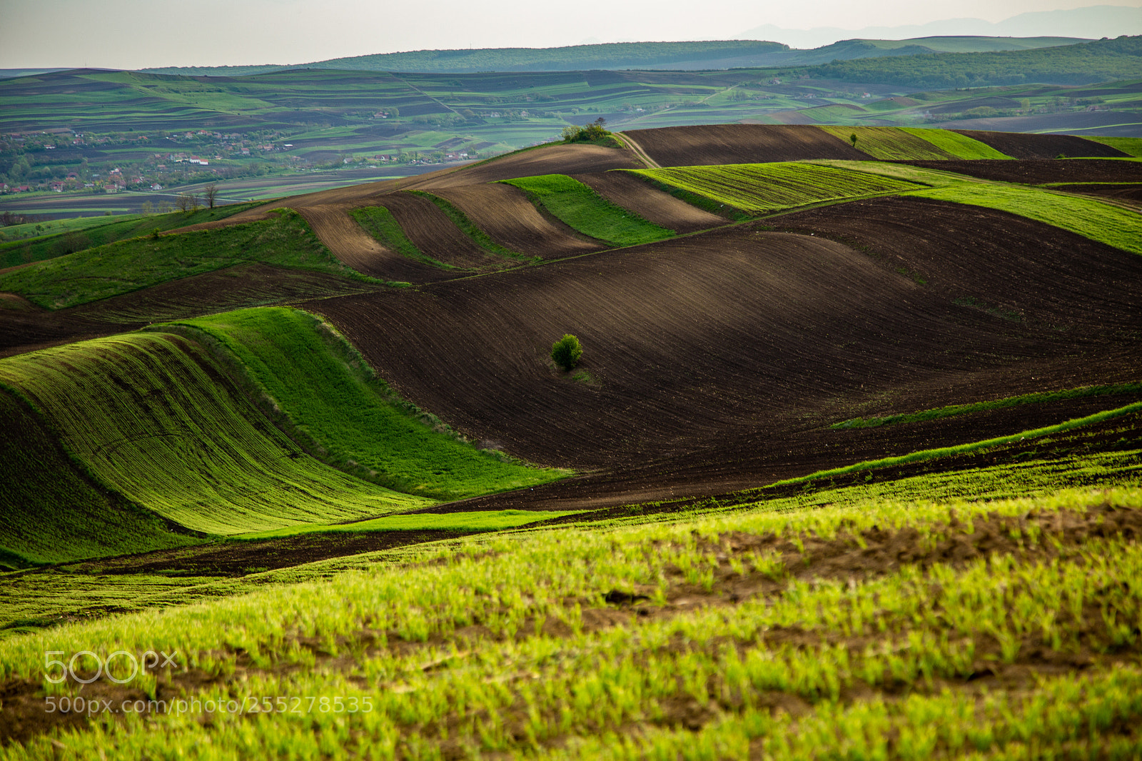 Canon EOS 6D sample photo. Center of the land photography