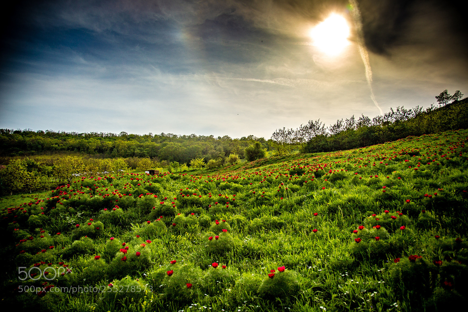 Canon EOS 6D sample photo. Redspots photography