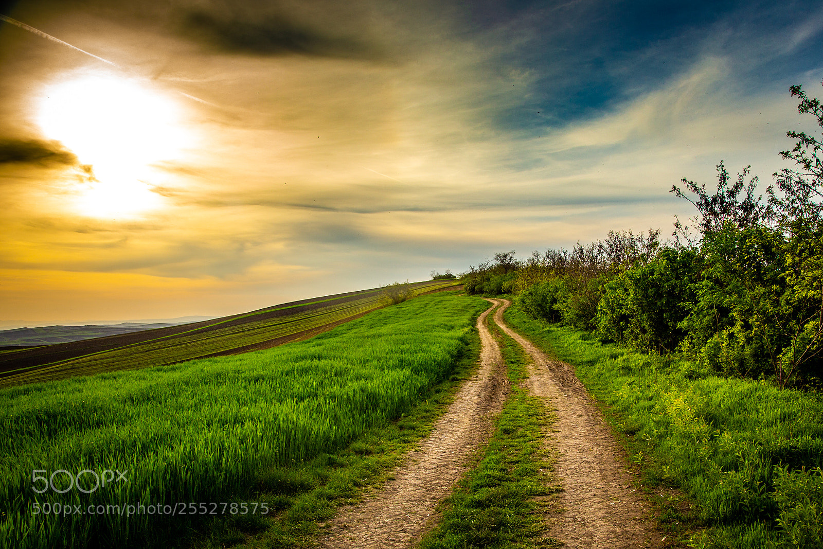 Canon EOS 6D sample photo. Road to nowhere photography
