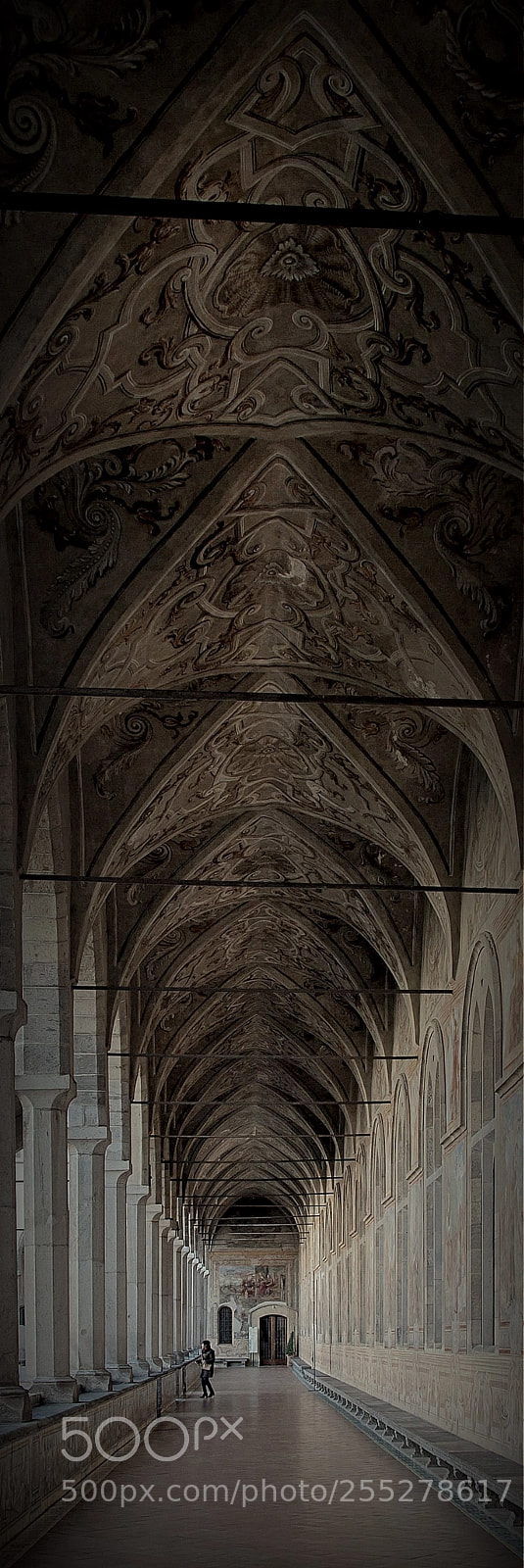 Canon EOS 50D sample photo. Chiostro photography