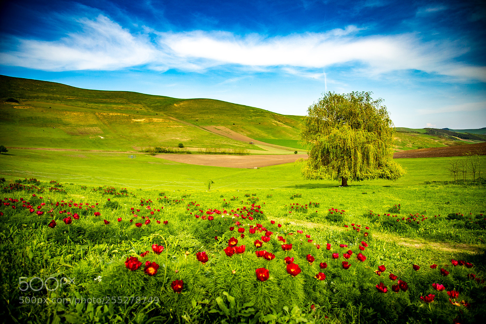 Canon EOS 6D sample photo. Landscape photography