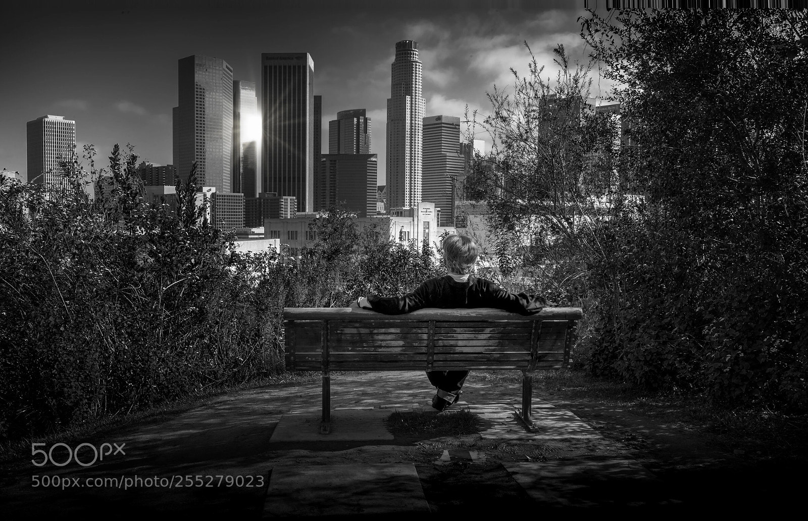 Nikon D810 sample photo. Downtown bench photography