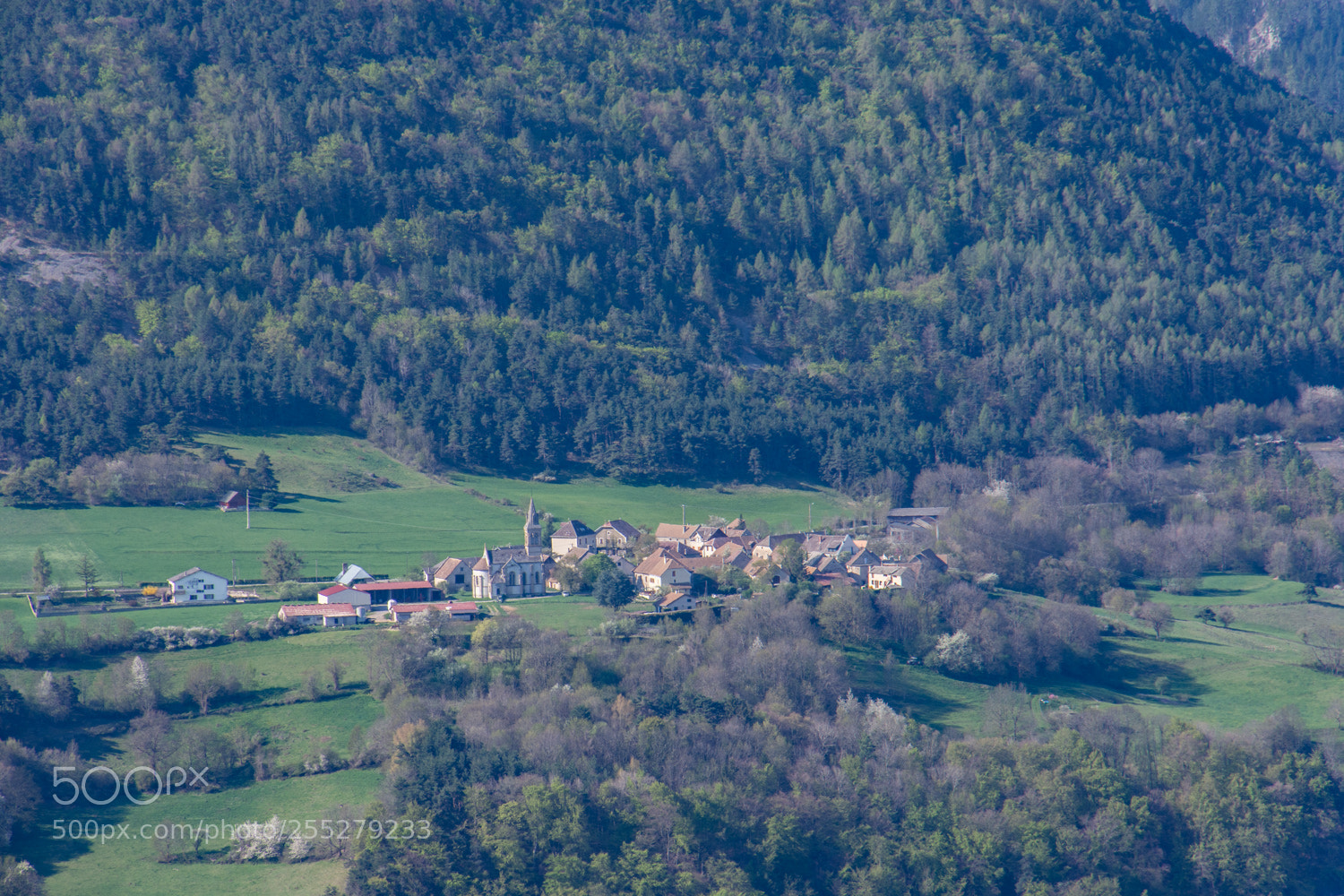 Nikon D7200 sample photo. Au pied de la photography