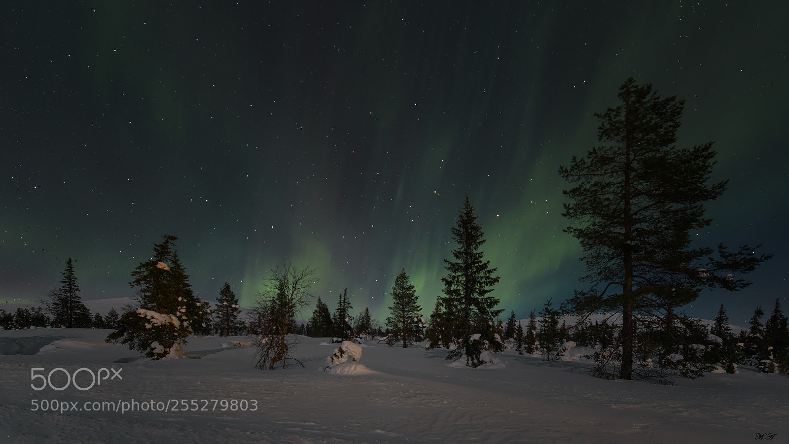 Canon EOS 6D sample photo. Aurora in pallastunturi photography