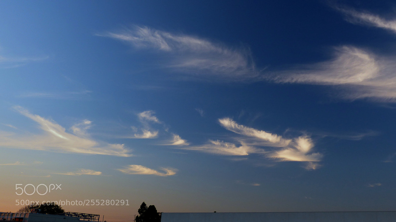 Panasonic Lumix DMC-FZ200 sample photo. P photography
