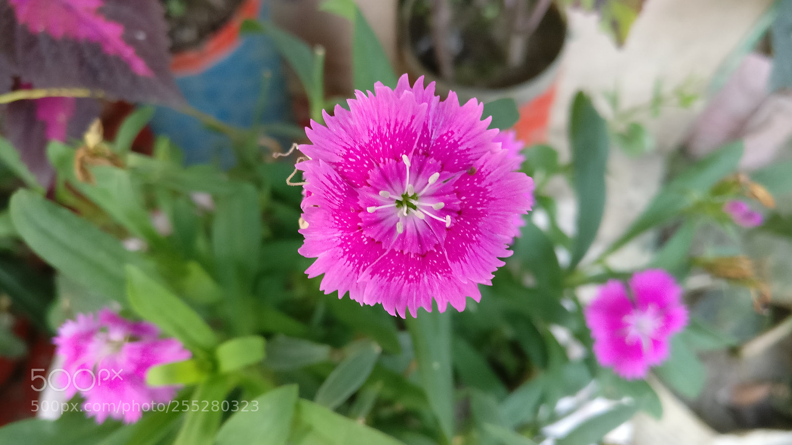 OnePlus A3003 sample photo. Untitled photography