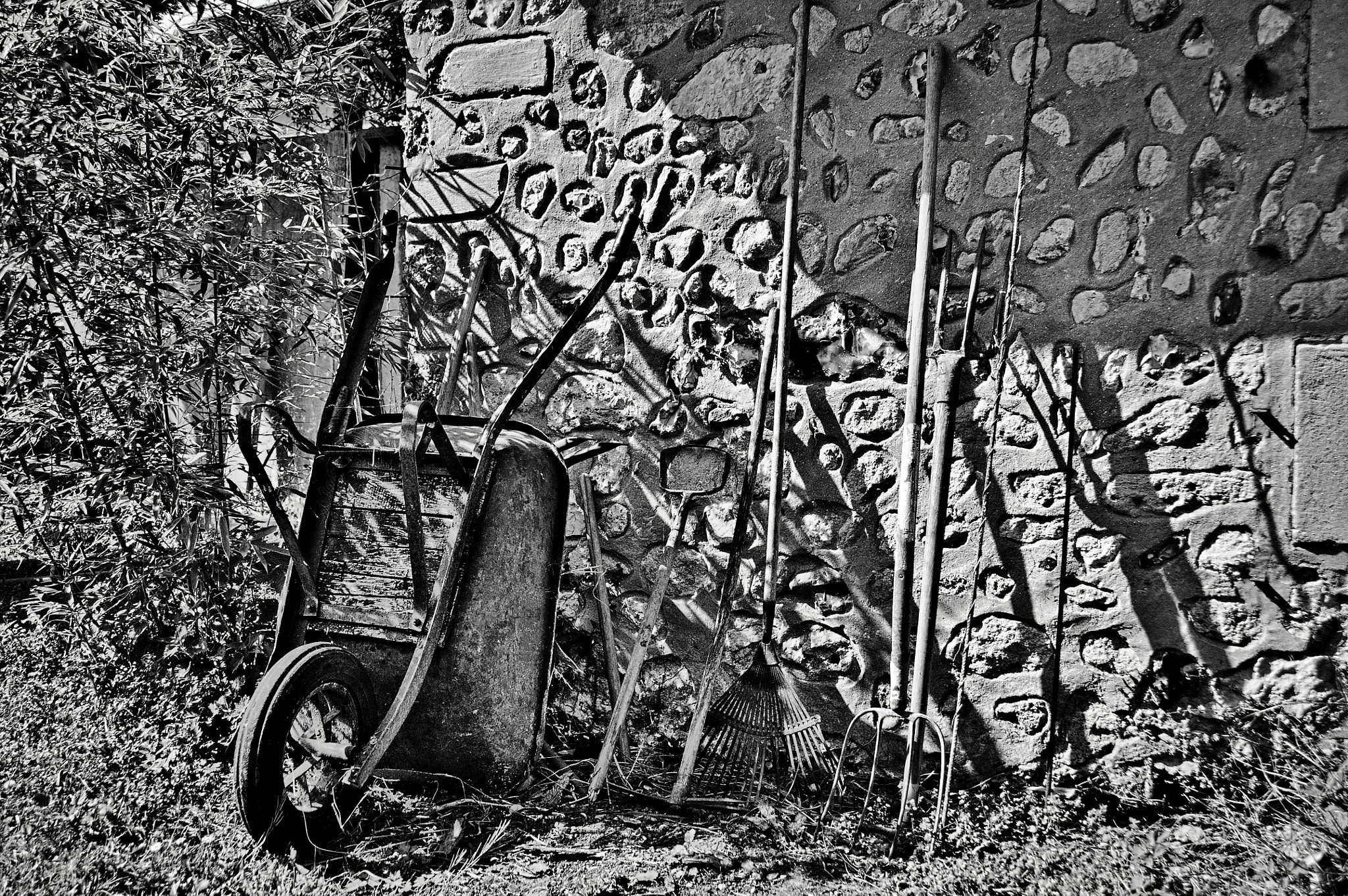 Nikon D90 sample photo. Au repos photography