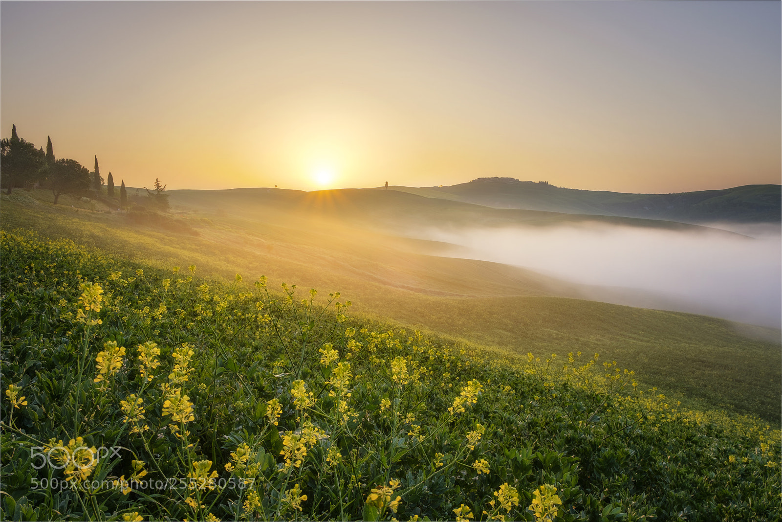 Fujifilm X-T2 sample photo. Crete senesi photography