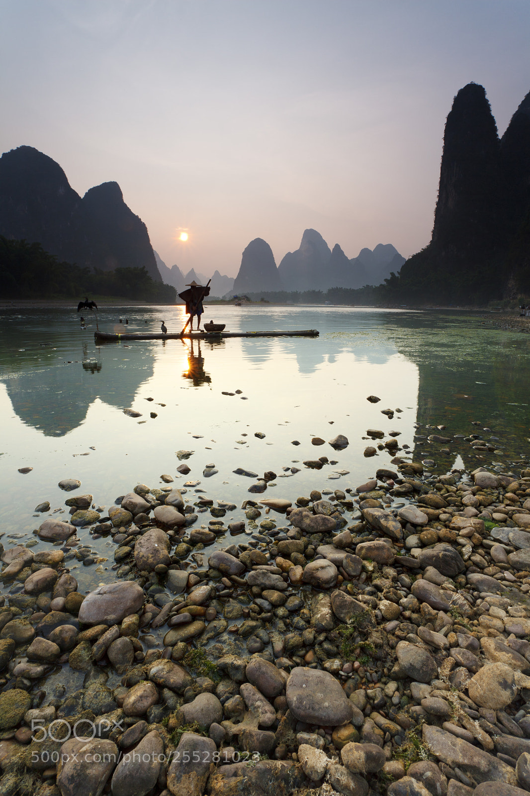 Canon EOS 5D Mark II sample photo. Cormorant fishing, china photography