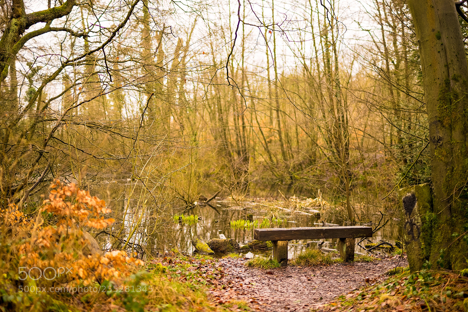 Sony a7 II sample photo. The bench.jpg photography