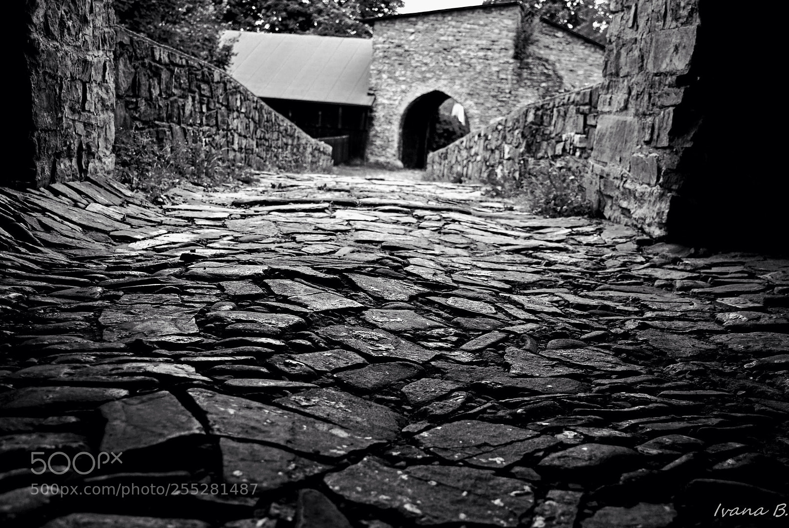 Nikon D40X sample photo. Castello photography