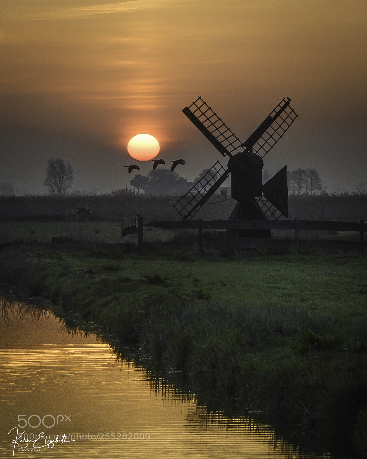 Nikon D600 sample photo. Morning windmill photography