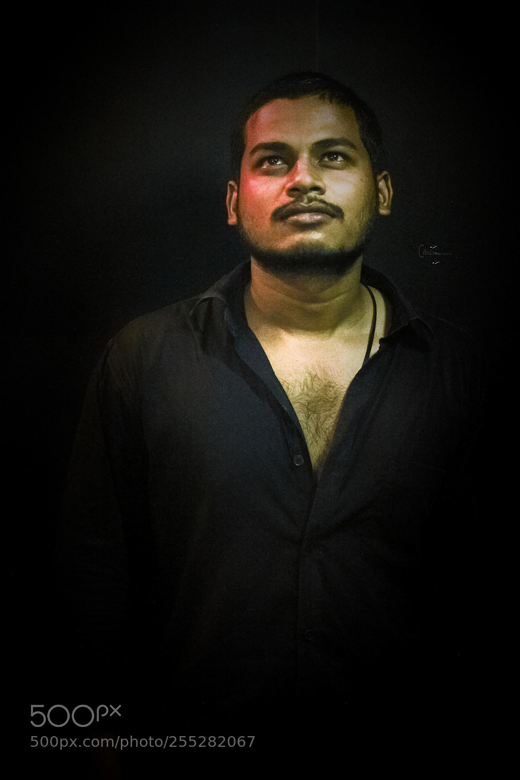 Canon EOS 60D sample photo. Untitled photography