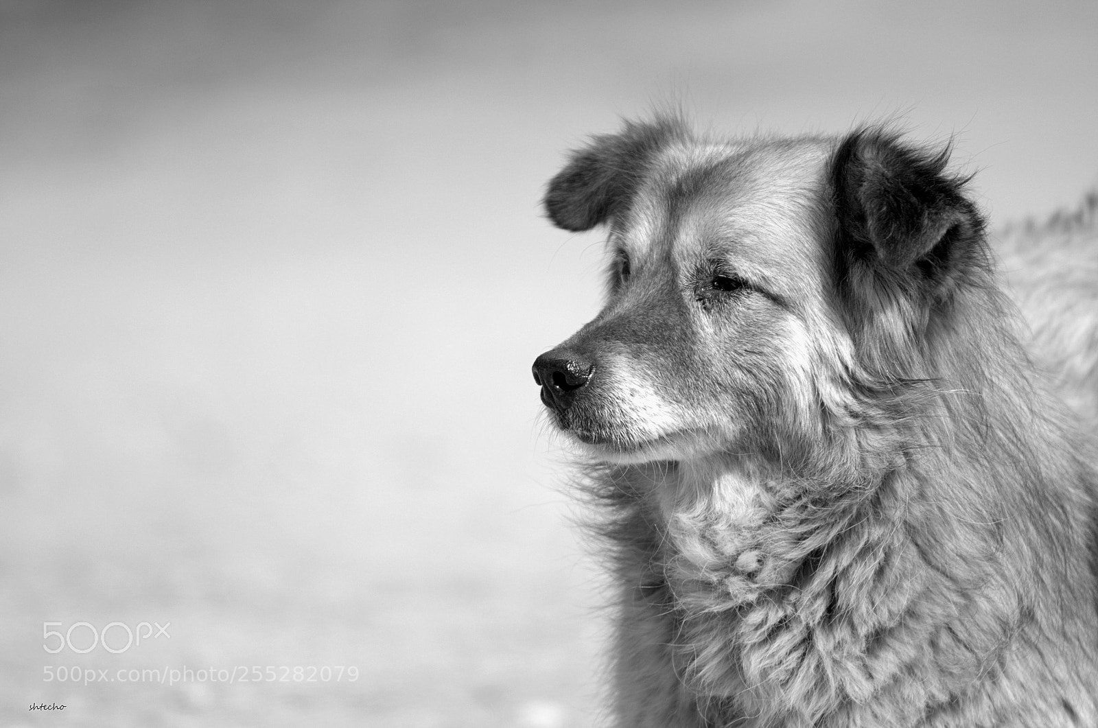 Nikon D5100 sample photo. Contemplation ... photography