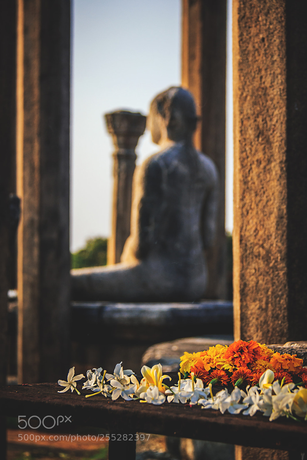 Canon EOS 600D (Rebel EOS T3i / EOS Kiss X5) sample photo. Flowers before the buddhas #2 photography