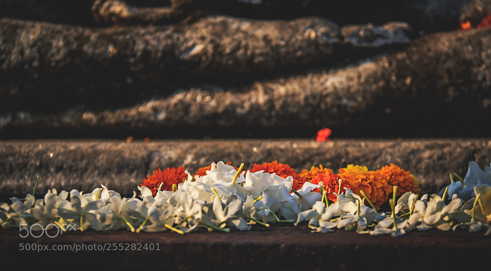 Canon EOS 600D (Rebel EOS T3i / EOS Kiss X5) sample photo. Flowers before the buddhas photography