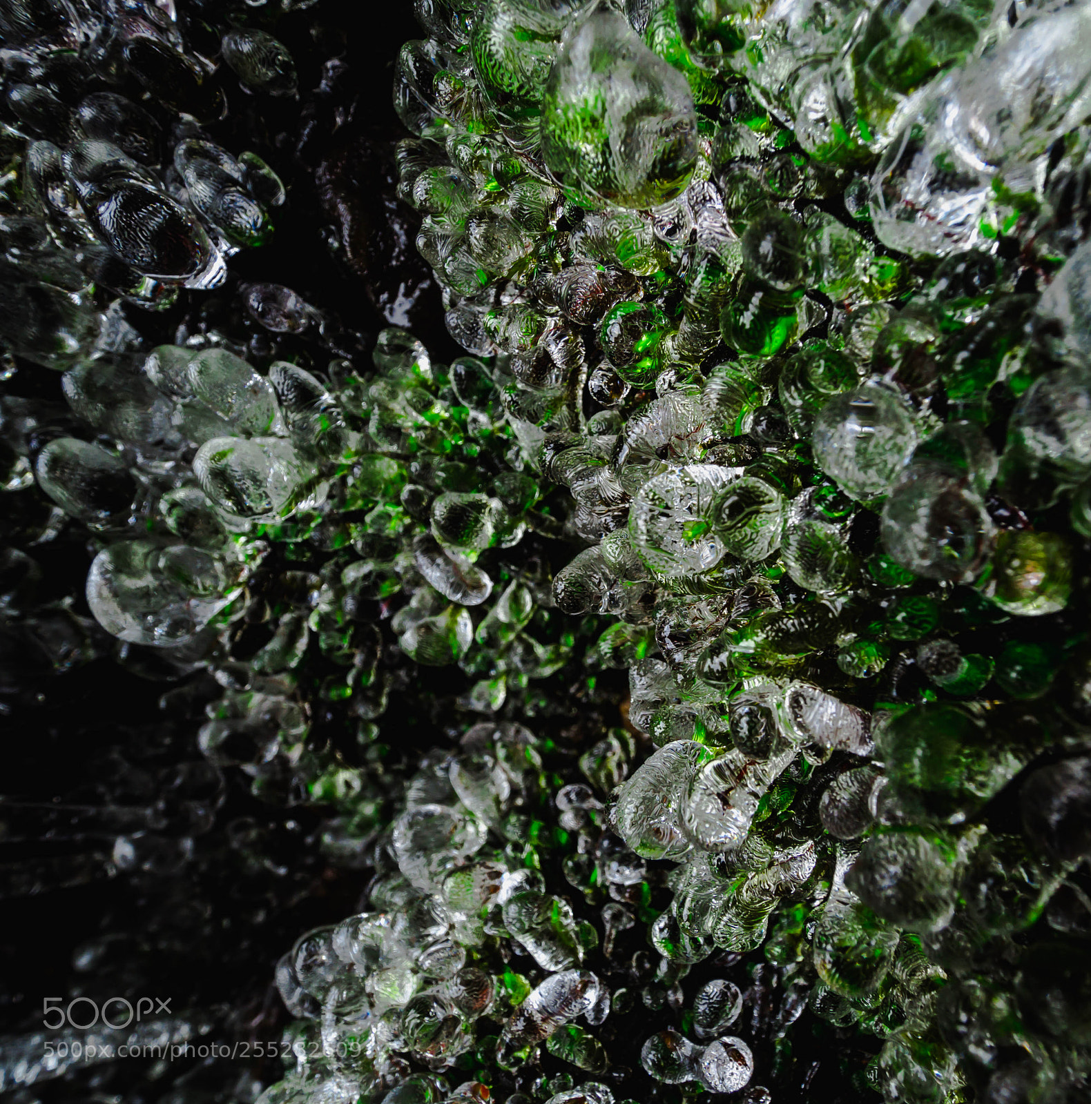 Olympus OM-D E-M10 II sample photo. Cryostasis photography