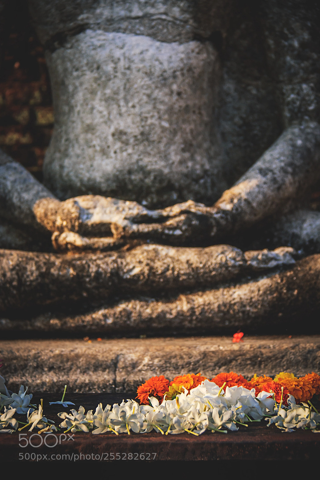 Canon EOS 600D (Rebel EOS T3i / EOS Kiss X5) sample photo. Flowers before the buddhas #4 photography