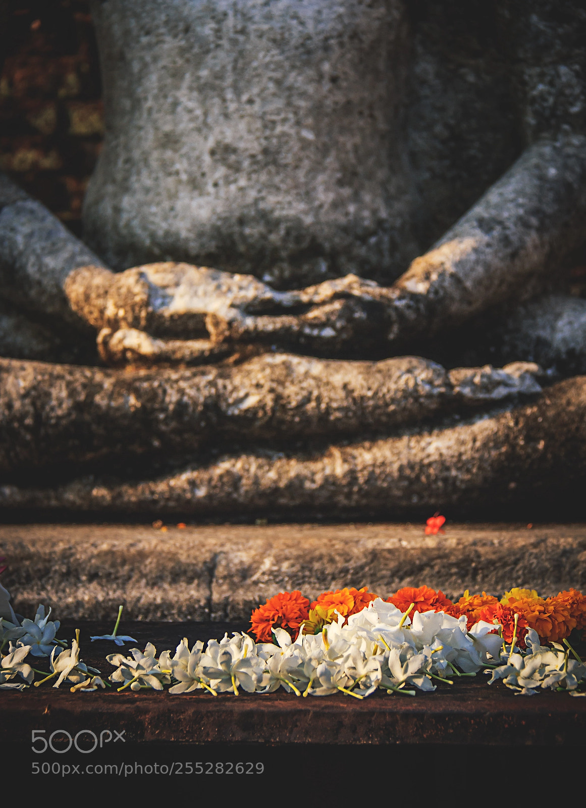 Canon EOS 600D (Rebel EOS T3i / EOS Kiss X5) sample photo. Flowers before the buddhas#3 photography