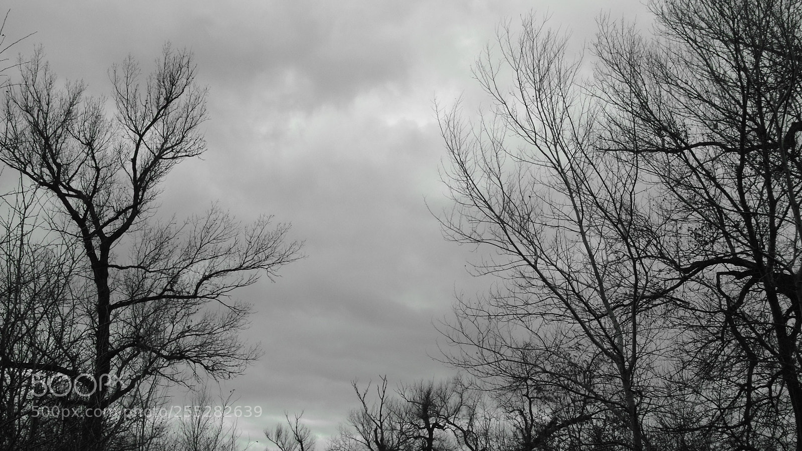Sony Cyber-shot DSC-H400 sample photo. Untitled photography