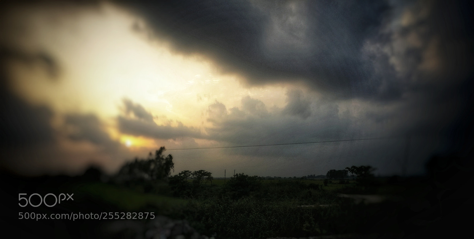 OnePlus A3003 sample photo. Untitled photography