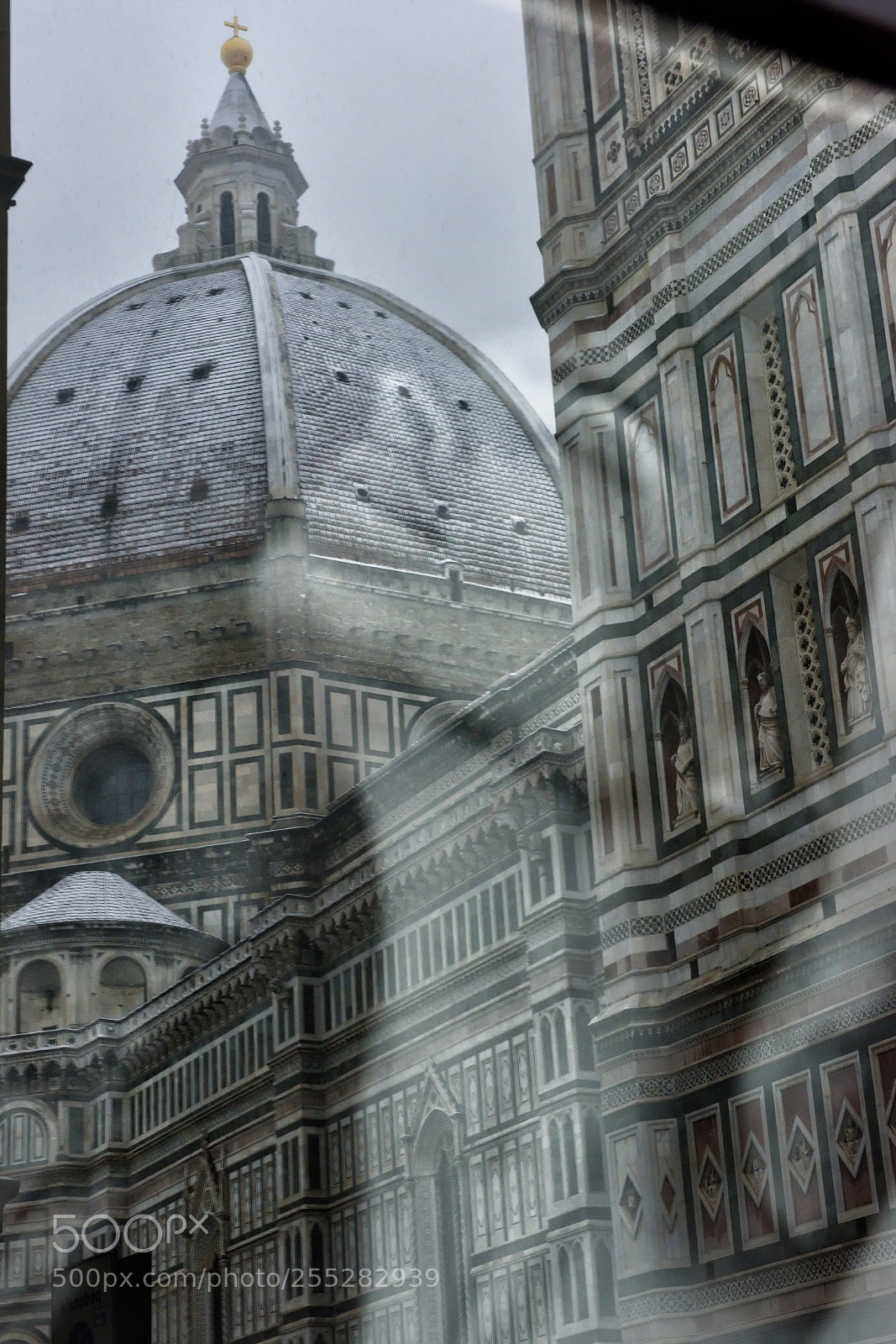 Nikon D810 sample photo. Florence white 01/03/2018 ix photography