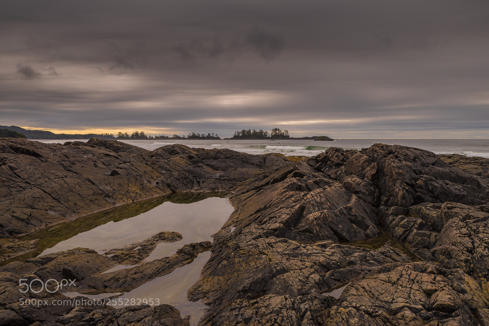 Pentax K-1 sample photo. Tide pool photography
