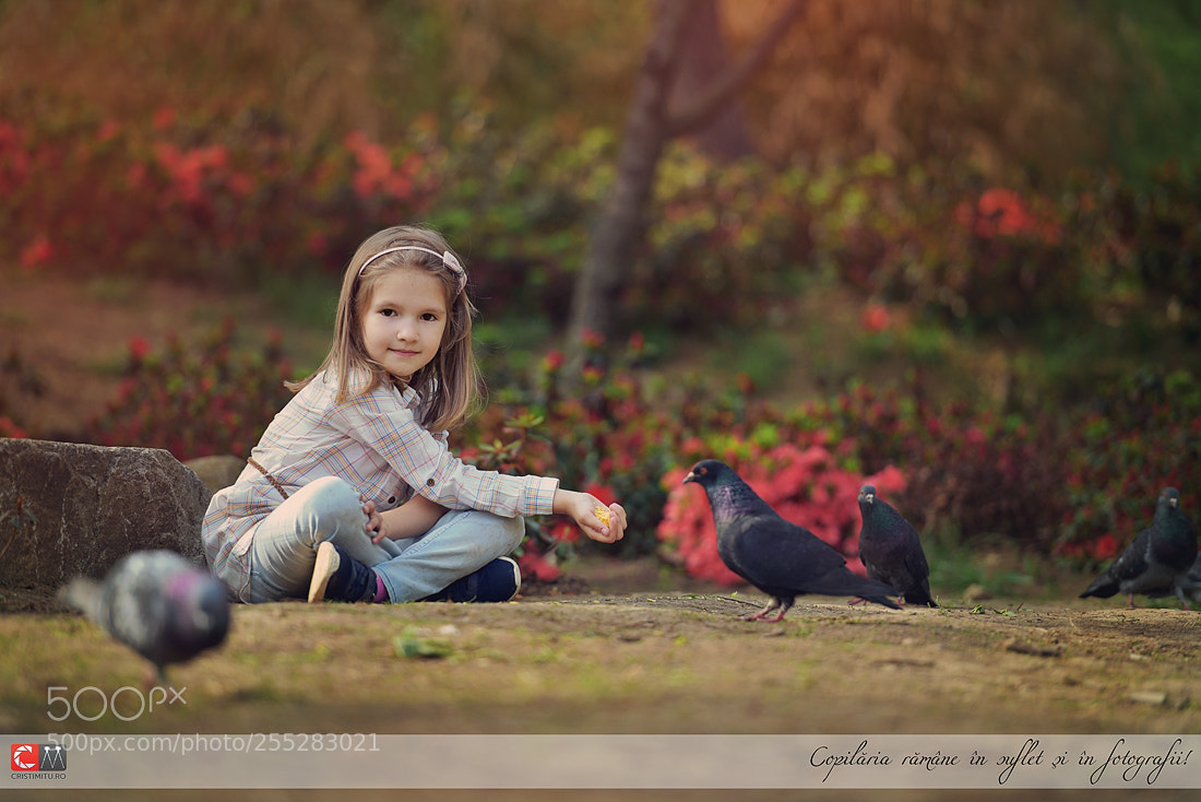 Nikon D810 sample photo. Fotograf cristi mitu photography