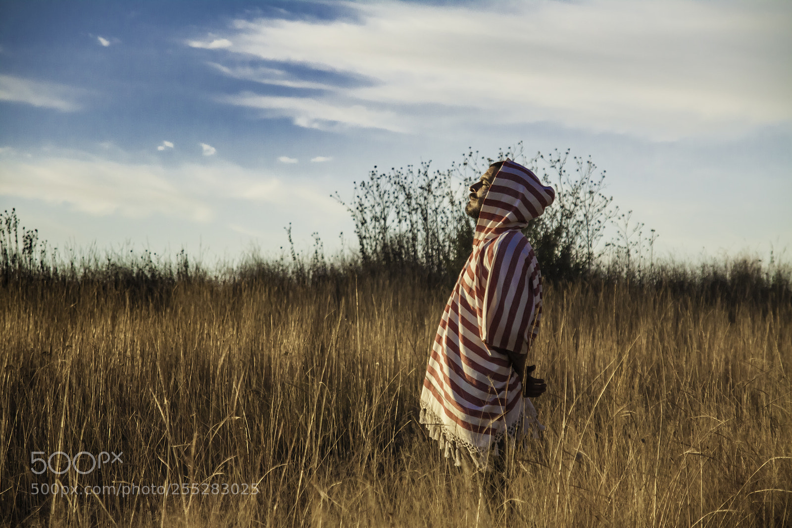 Canon EOS 50D sample photo. Contemplacion photography
