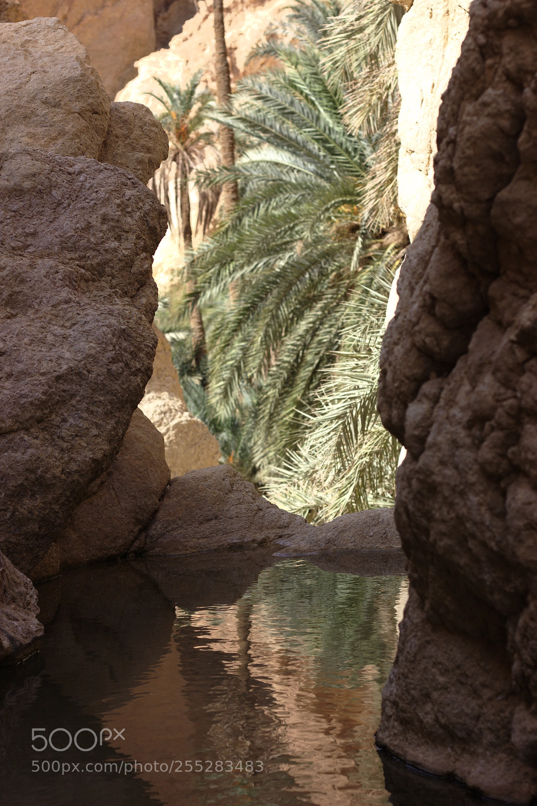 Canon EOS 600D (Rebel EOS T3i / EOS Kiss X5) + Canon EF 50mm F1.8 II sample photo. Chebika oasis photography
