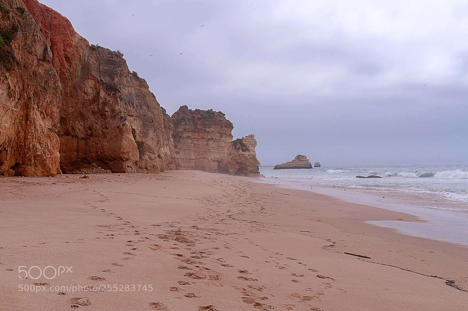 Nikon D5000 sample photo. Coast of portugal photography