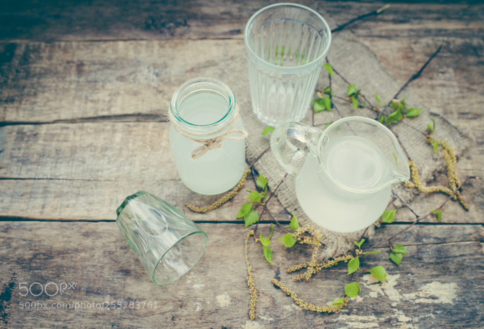 Nikon D800E sample photo. Birch juice photography