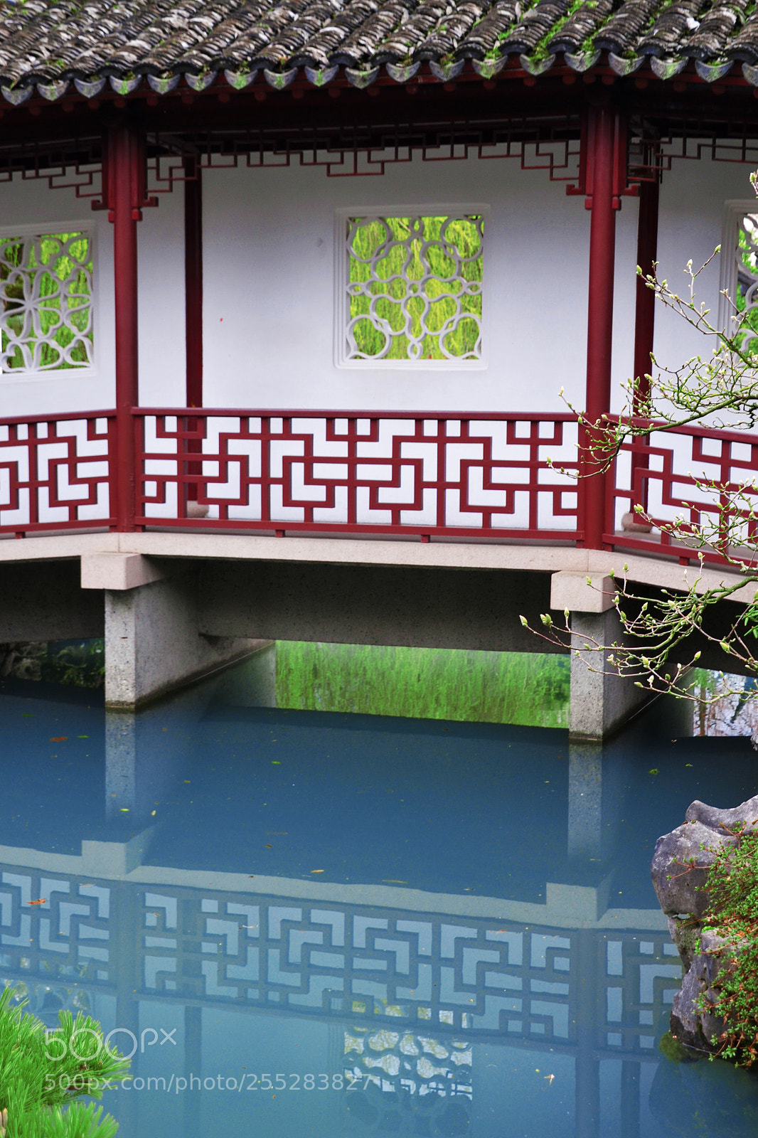 Nikon D3100 sample photo. Tranquility photography