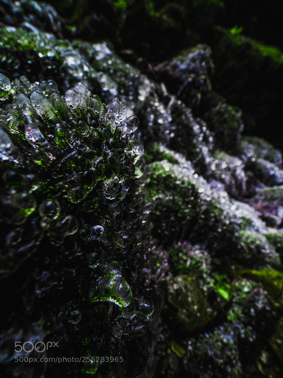 Olympus OM-D E-M10 II sample photo. Cryostasis ii photography