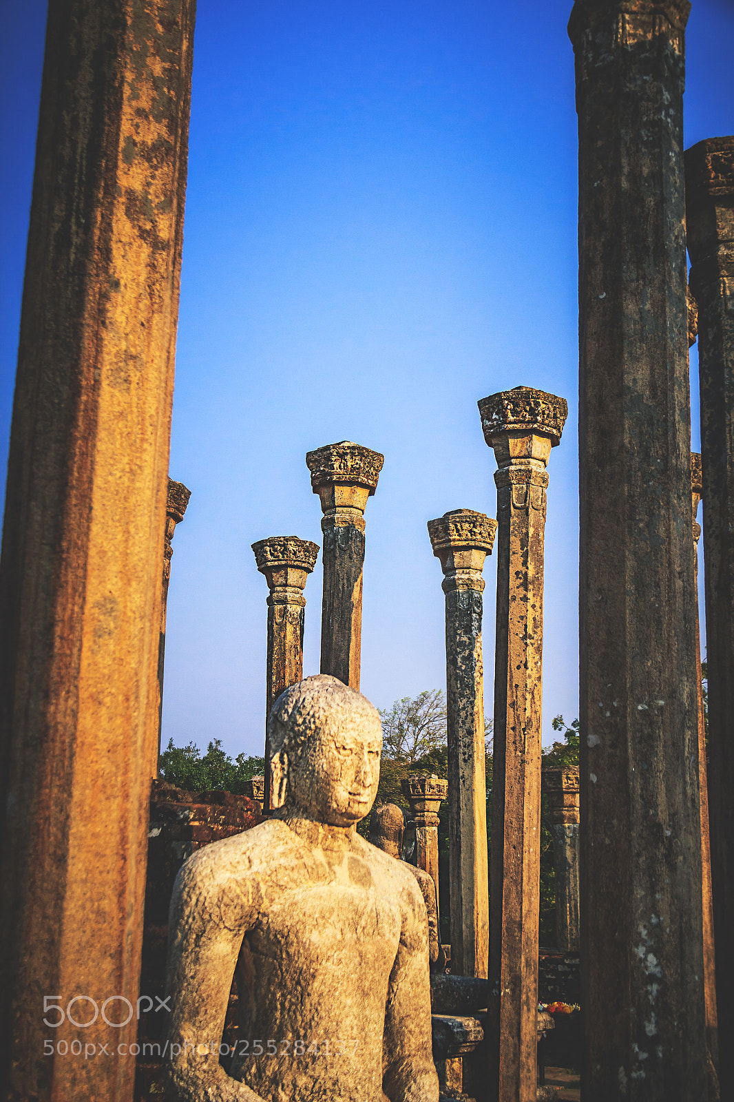 Canon EOS 600D (Rebel EOS T3i / EOS Kiss X5) sample photo. The medirigiriya buddhas #19 photography