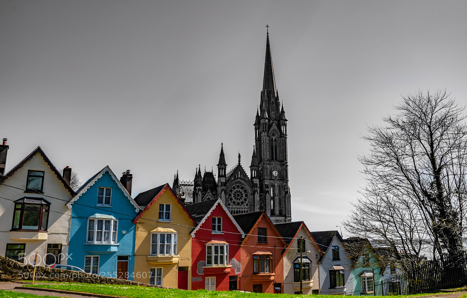 Nikon D5500 sample photo. Cobh, ireland photography