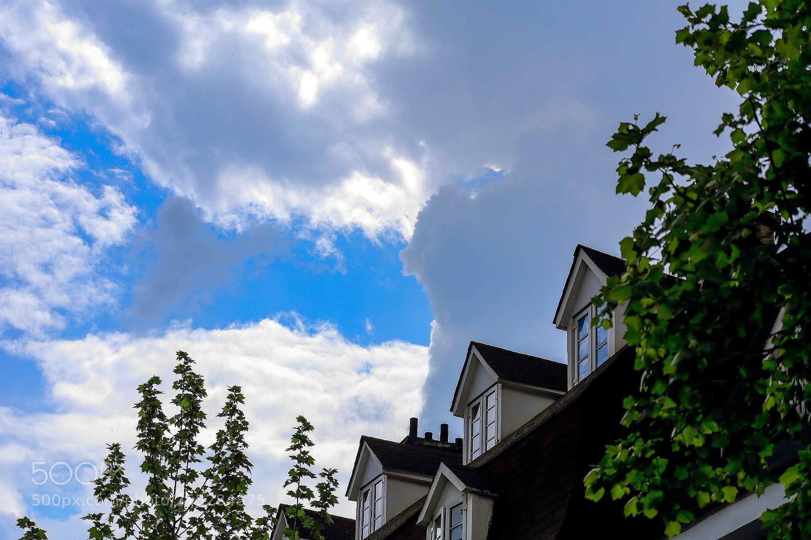 Canon EOS 6D sample photo. Untitled photography