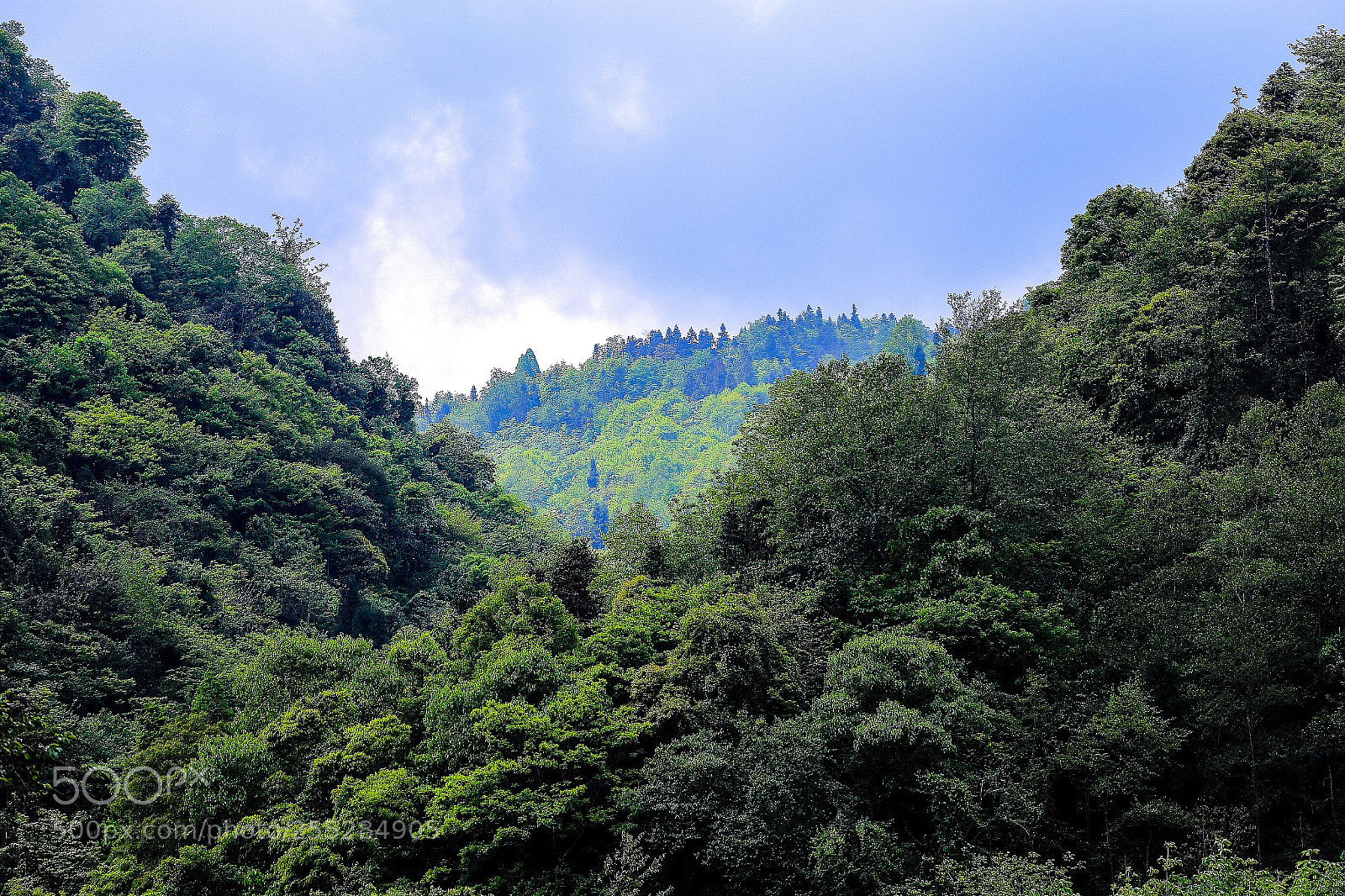 Canon EOS 6D sample photo. Untitled photography