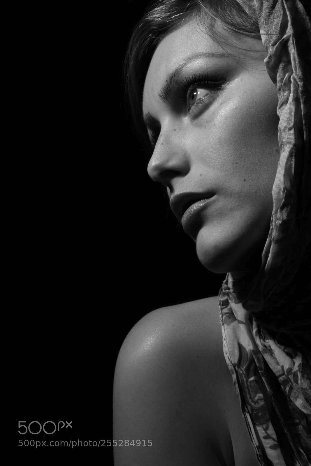 Canon EOS 5D Mark II sample photo. Untitled photography