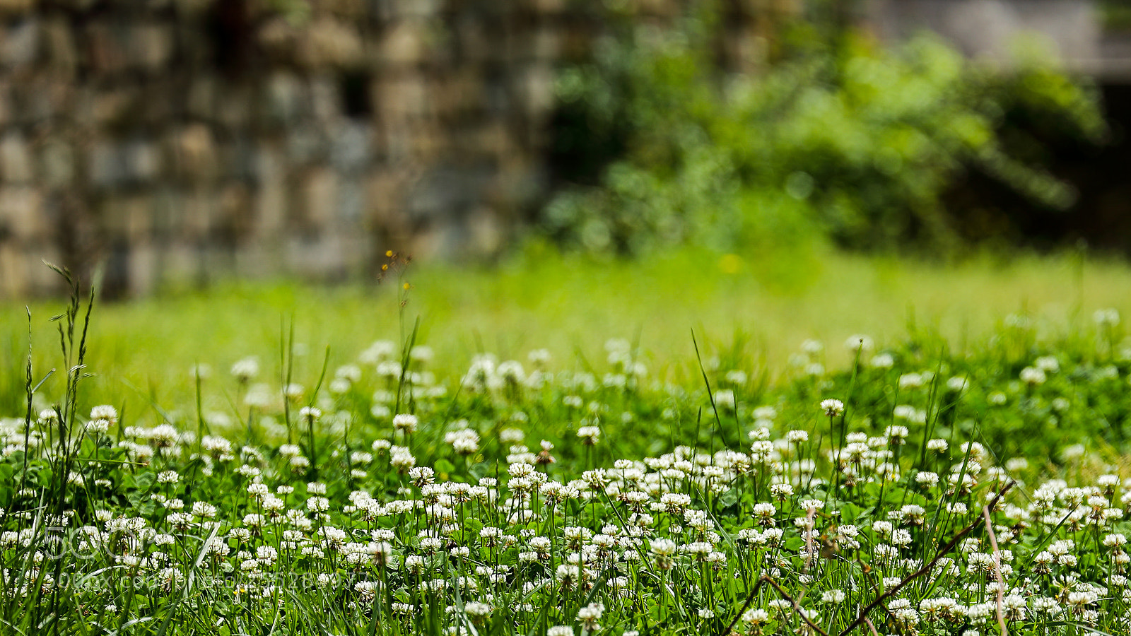 Canon EOS 6D sample photo. Untitled photography