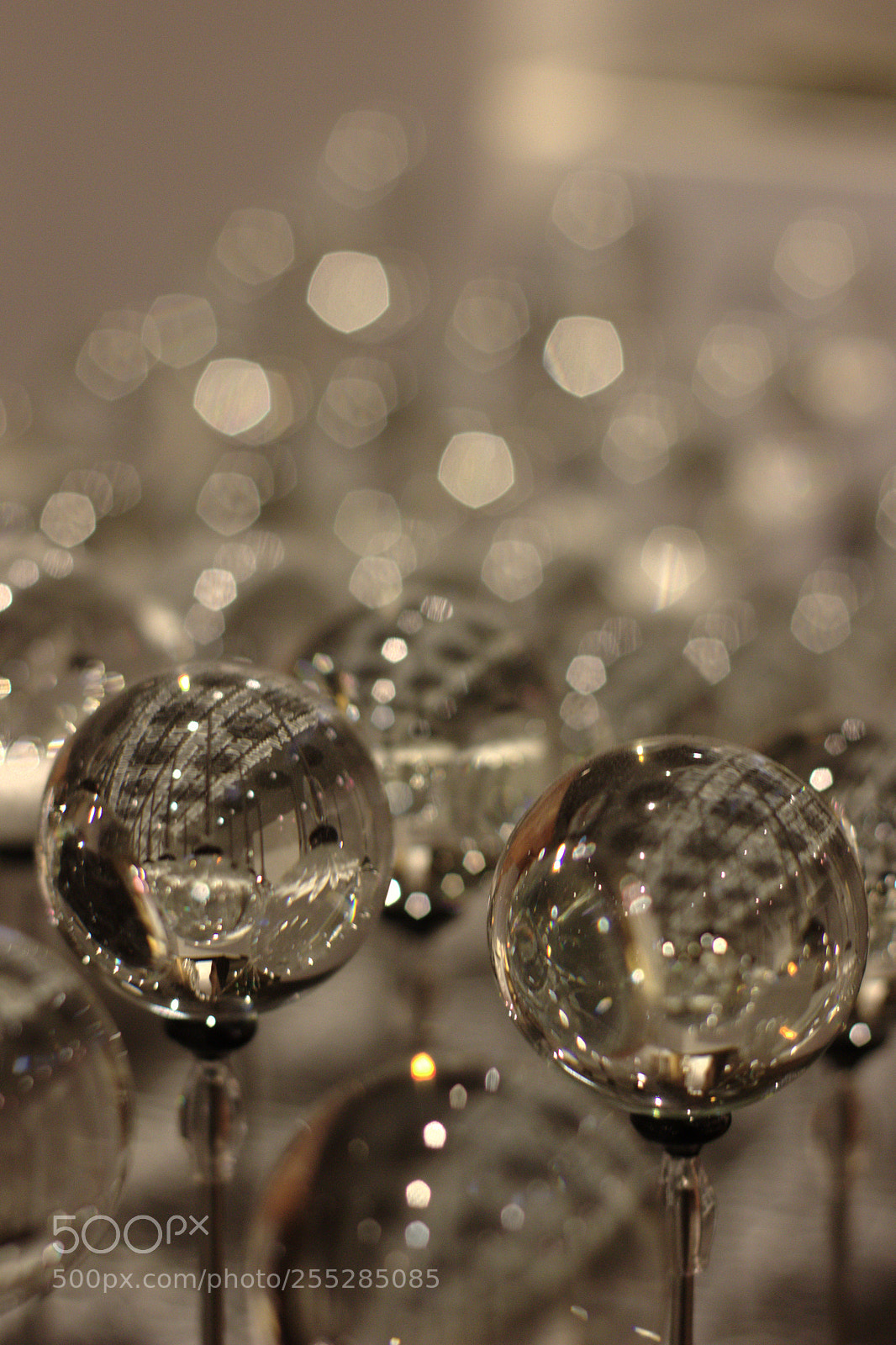 Canon EOS 600D (Rebel EOS T3i / EOS Kiss X5) + Canon EF 50mm F1.8 II sample photo. Spheric reflexion 2 photography